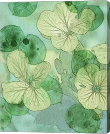 Framed Mint Progeny IV Print