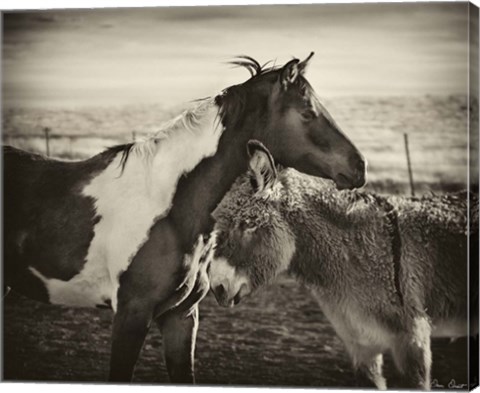 Framed Kissing Horses II Print