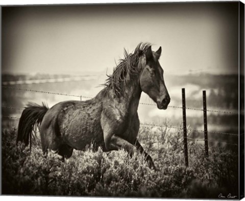 Framed Running Horse Print