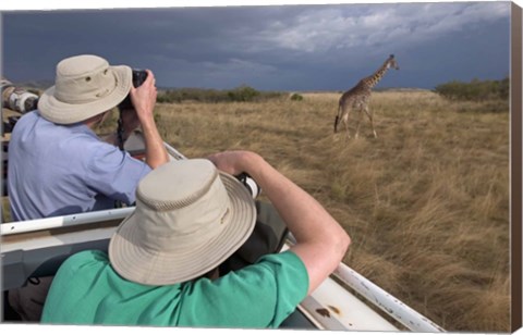 Framed Rear view of two safari photographers filming a giraffe Print