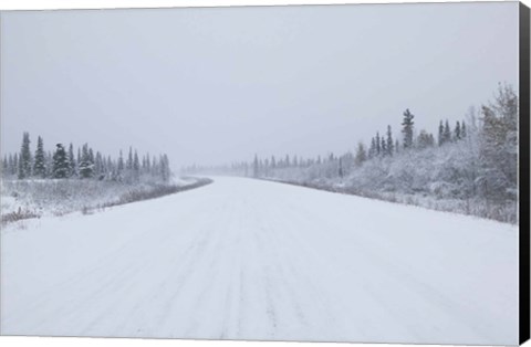 Framed Highway passing through a snow covered landscape, George Parks Highway, Denali National Park, Alaska, USA Print