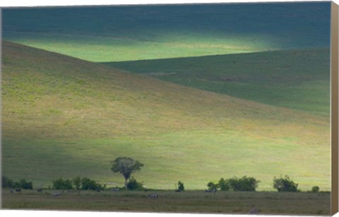 Framed Panoramic view of hill, Ngorongoro Crater, Arusha Region, Tanzania Print