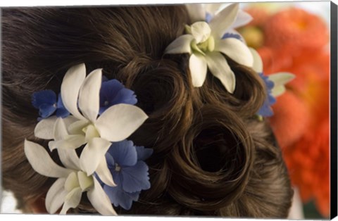 Framed Close-up of flowers in a bride&#39;s hair, Bainbridge Island, Washington State, USA Print