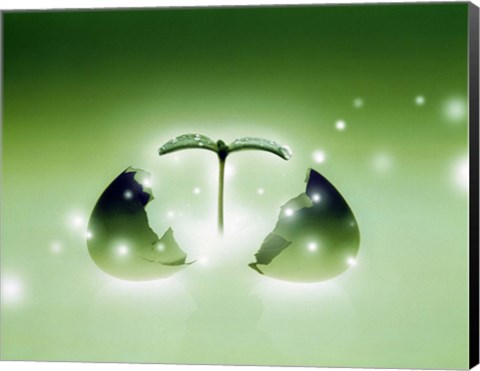 Framed Shiny green egg bursting in two with green sprig and stars escaping Print