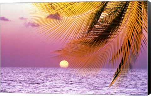 Framed Stylized tropical scene with violet sea, pink sky, setting sun and palm fronds Print