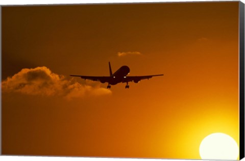 Framed Silhouette of airliner in golden sunset Print