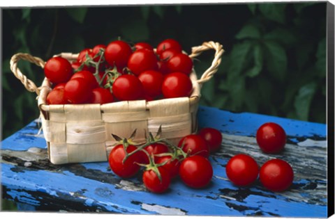 Framed Still life of cherry tomatoes in a rectangular woven basket sitting on distressed blue painted table top Print