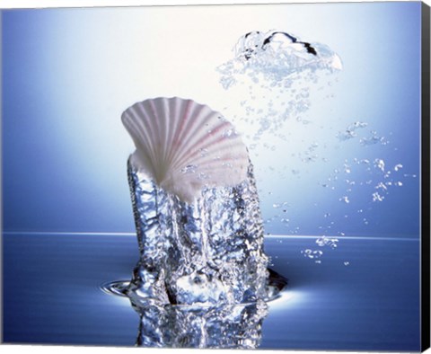 Framed White scallop shell being raised on pillar of bubbling water Print