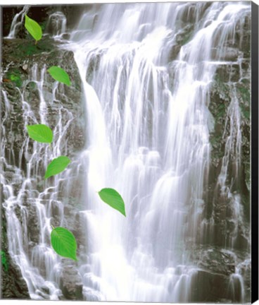 Framed Green leaves cascading in front of waterfall Print