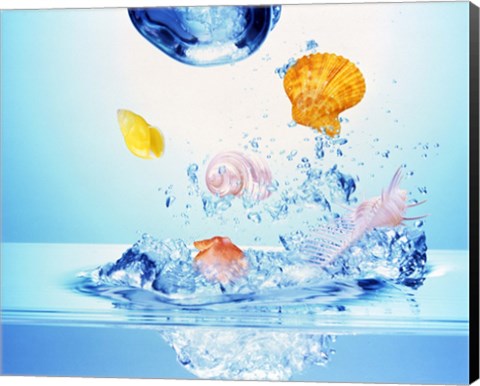 Framed Multicolored seashells and water bubbles in churning water Print
