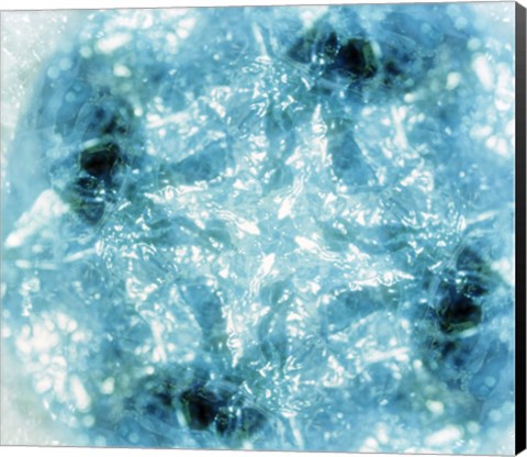 Framed Kaleidoscopic pattern in aqua and white Print