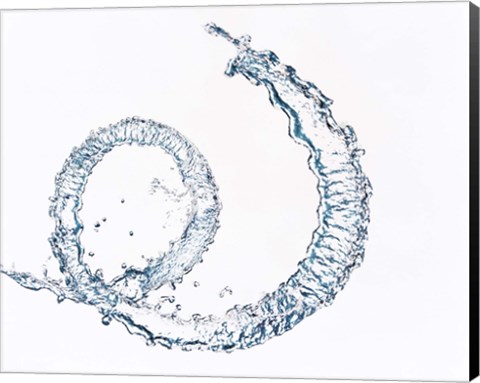 Framed Curl of water drops on white background Print
