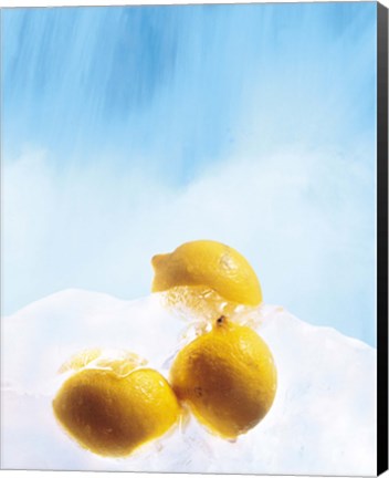 Framed Three lemons frozen in ice below ice blue sky Print