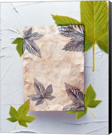 Framed Green and grey leaves superimposed on pink plaster rectangle on white plaster wall Print