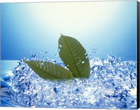 Framed Two green leaves in bubbling water Print