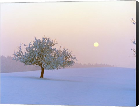 Framed Foggy winter scene with tree and moon Print