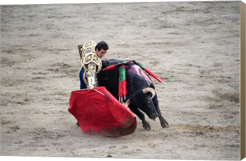 Framed Matador and Bull Print