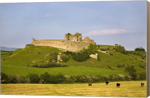 Framed Ruined walls of Roche Castle, County Louth, Ireland Print