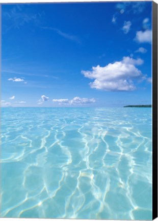 Framed Tropical water with blue skies in background Print
