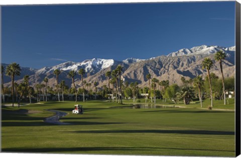 Framed Palm trees in a golf course, Desert Princess Country Club, Palm Springs, Riverside County, California, USA Print