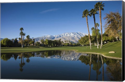 Framed Pond in a golf course, Desert Princess Country Club, Palm Springs, Riverside County, California, USA Print