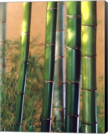 Framed Bamboo Sticks Print