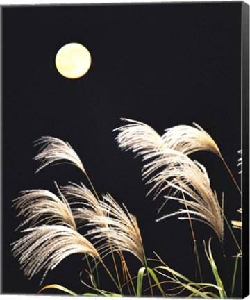Framed Close Up View of Foxtail Grass with Full Moon in Background Print