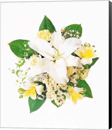 Framed Arranged Flowers and Leaves on White Background Print