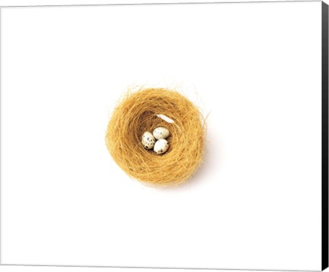 Framed Three Eggs in Nest Illustrated On White Background Print