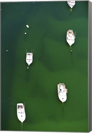 Framed Aerial view of boats in the sea, Cape Cod, Barnstable County, Massachusetts, USA Print