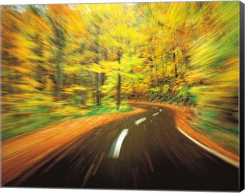 Framed Highway amidst forest Print