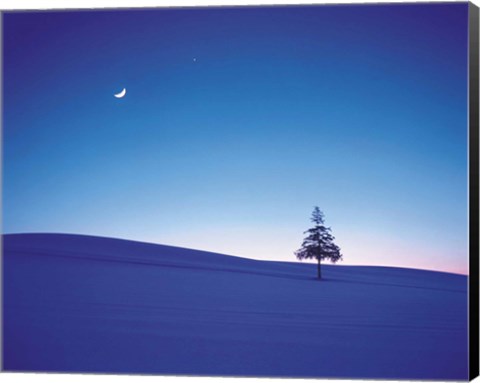 Framed Moon in Sky and Single Tree Print