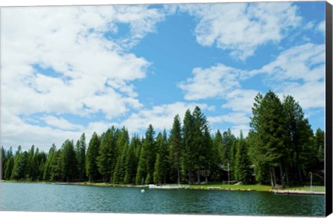 Framed Trees along bank of Lake Almanor, California, USA Print