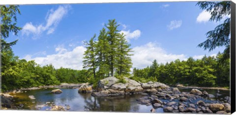 Framed Trees and rocks, Moose River, New York State Print