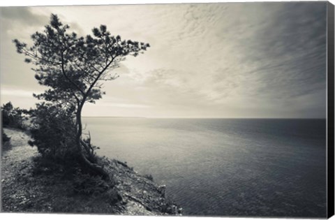 Framed Panga Cliff, Kuressaare, Saaremaa Island, Estonia (black &amp; white) Print
