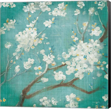 Framed White Cherry Blossoms I on Blue Aged No Bird Print