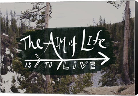 Framed Aim of Life Print