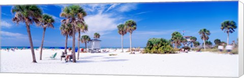 Framed Palm trees on the beach, Siesta Key, Gulf of Mexico, Florida, USA Print