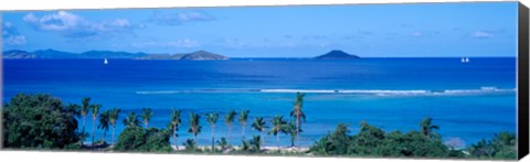 Framed Palm trees on the beach, British Virgin Islands Print