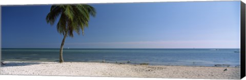 Framed Palm tree on the beach, Smathers Beach, Key West, Florida, USA Print