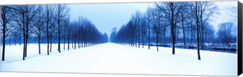 Framed Winter in Schleissheim Bavaria Germany Print