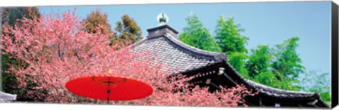 Framed Daikaku-Ji Kyoto Japan Print