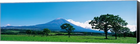 Framed Mt Fuji Shizuoka Japan Print