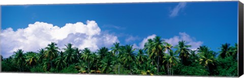 Framed Maldives with Clouds Print