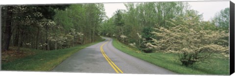 Framed Road passing through a landscape, Blue Ridge Parkway, Virginia, USA Print