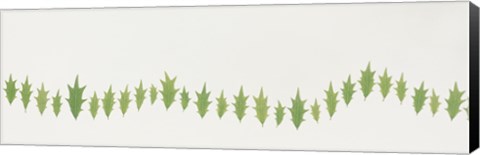 Framed Line of Holly Leaves Print