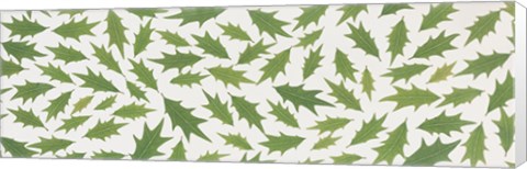 Framed Pattern of Hollies Print