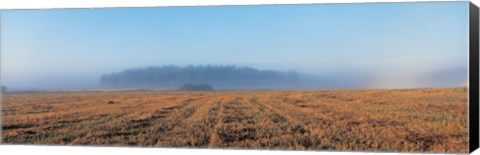 Framed Mist in Lovo Uppland Sweden Print