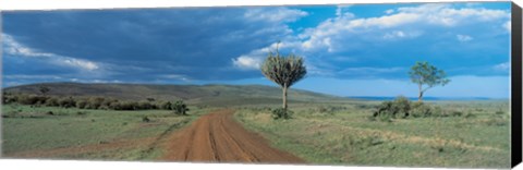 Framed Masai Mara Game Reserve Kenya Print