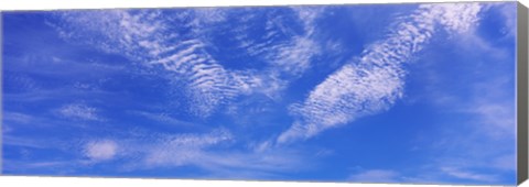 Framed Low angle view of cirrocumulus clouds in the sky Print